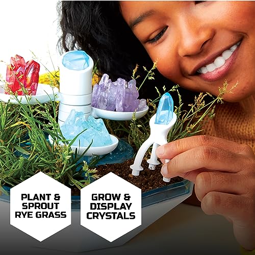 LED Terrarium Kit – Plant Grow & Crystal STEM Experiment Set