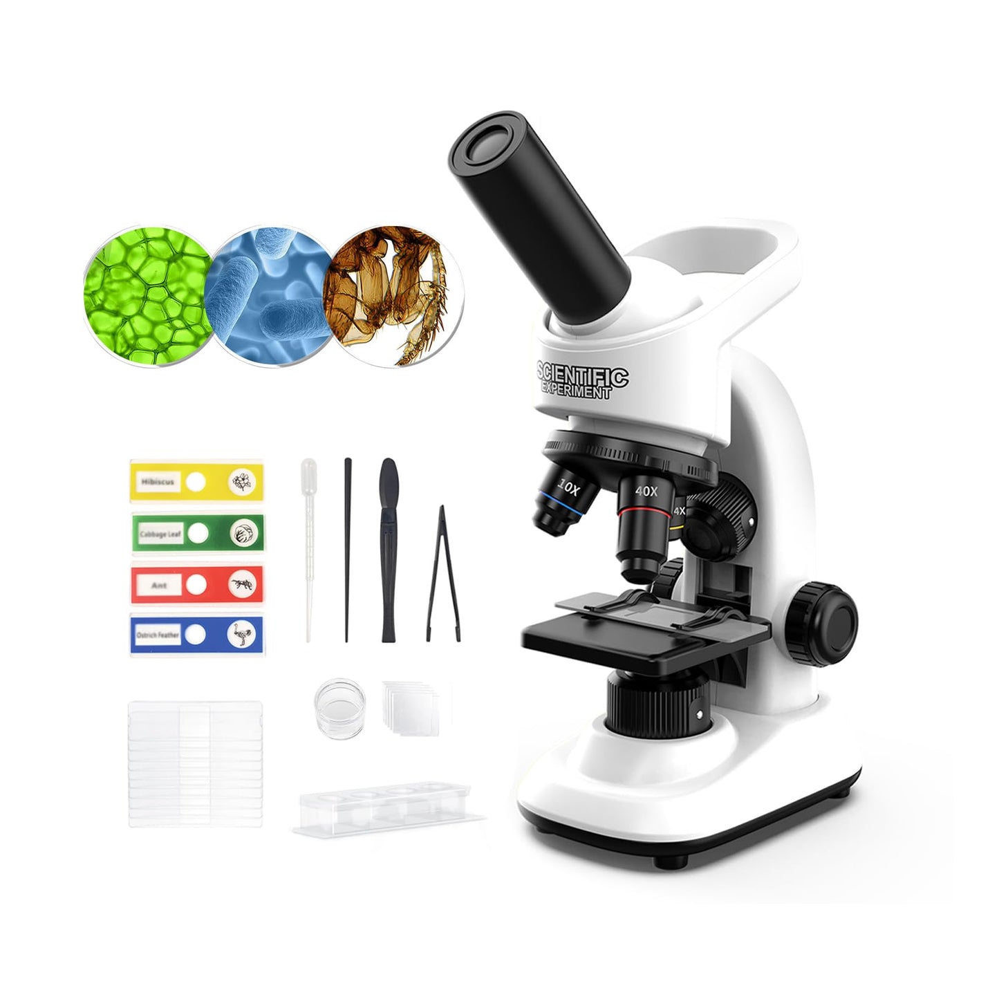 Kids Microscope Kit 40X–1600X – STEM Lab Set with LED Light